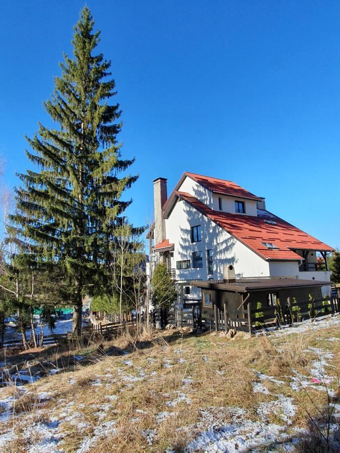 Vila Berlin Hotell Poiana Brasov Eksteriør bilde